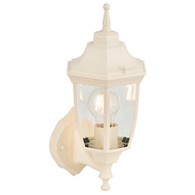 Luke Outdoor Wall Light